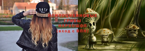 прущая мука Надым