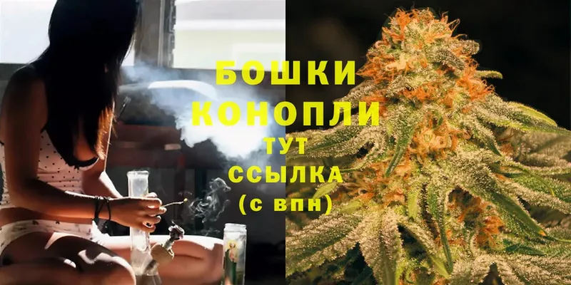 Бошки марихуана THC 21%  купить  сайты  Тетюши 